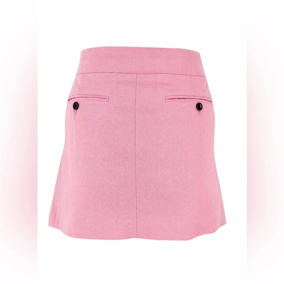 NWT Isabel Marant Licoba Mini Skirt in Pink - Picture 16 of 16